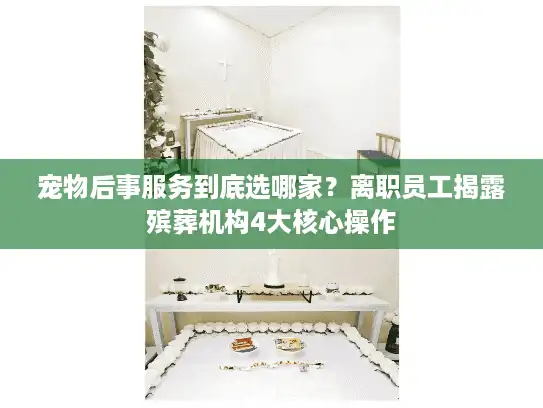 宠物后事服务到底选哪家？离职员工揭露殡葬机构4大核心操作