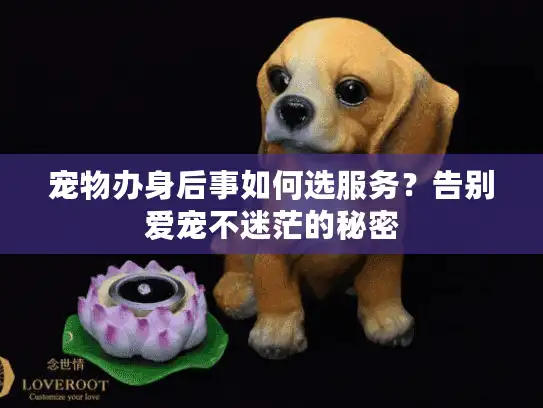 宠物办身后事如何选服务？告别爱宠不迷茫的秘密
