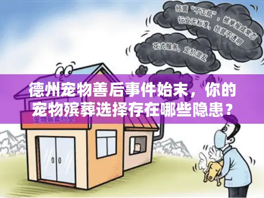 德州宠物善后事件始末，你的宠物殡葬选择存在哪些隐患？