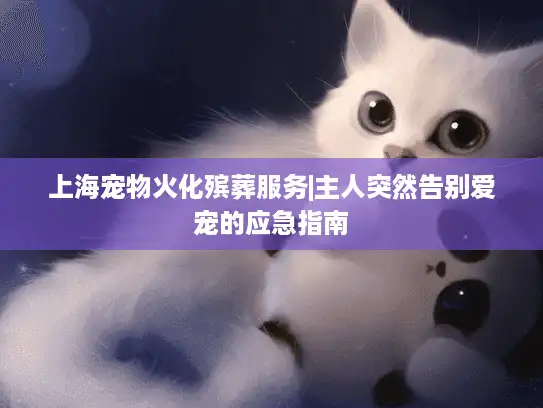 上海宠物火化殡葬服务|主人突然告别爱宠的应急指南