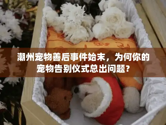 潮州宠物善后事件始末，为何你的宠物告别仪式总出问题？