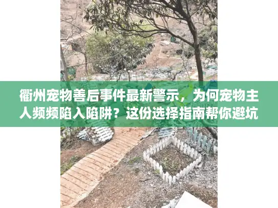 衢州宠物善后事件最新警示，为何宠物主人频频陷入陷阱？这份选择指南帮你避坑