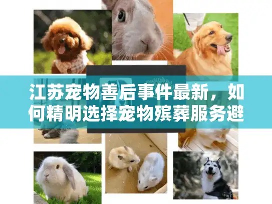 江苏宠物善后事件最新，如何精明选择宠物殡葬服务避免陷阱？