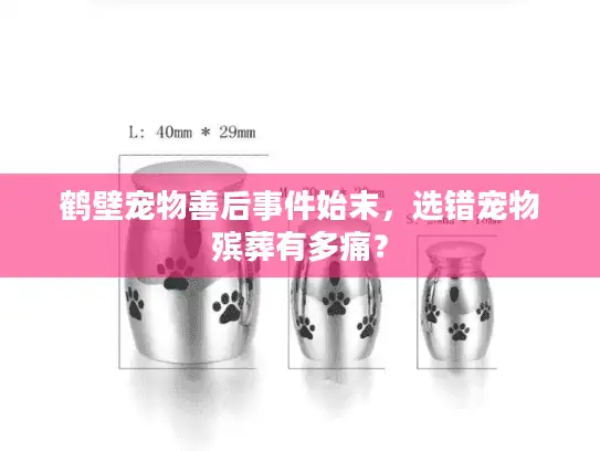 鹤壁宠物善后事件始末，选错宠物殡葬有多痛？