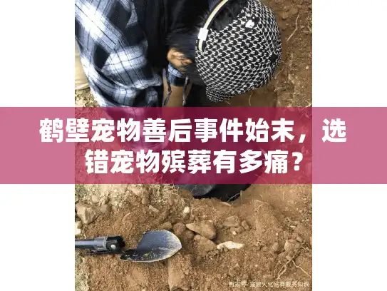 鹤壁宠物善后事件始末，选错宠物殡葬有多痛？