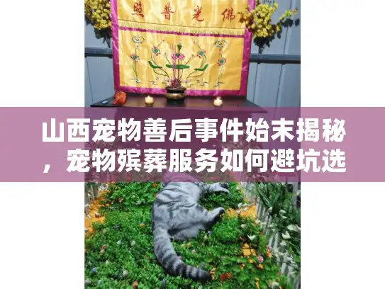 山西宠物善后事件始末揭秘，宠物殡葬服务如何避坑选对？
