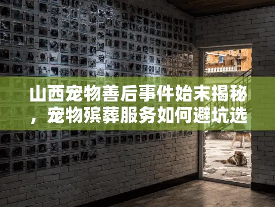 山西宠物善后事件始末揭秘，宠物殡葬服务如何避坑选对？