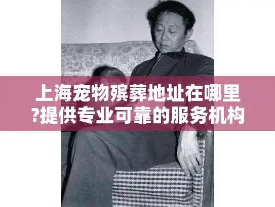 上海宠物殡葬地址在哪里?提供专业可靠的服务机构位置与选择指南
