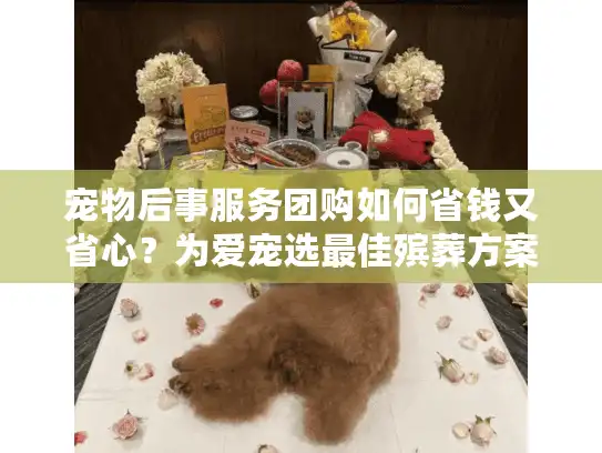 宠物后事服务团购如何省钱又省心？为爱宠选最佳殡葬方案攻略