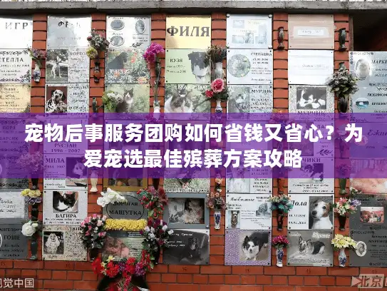 宠物后事服务团购如何省钱又省心？为爱宠选最佳殡葬方案攻略