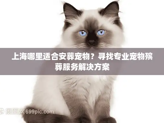 上海哪里适合安葬宠物？寻找专业宠物殡葬服务解决方案