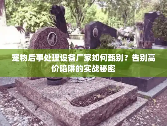 宠物后事处理设备厂家如何甄别？告别高价陷阱的实战秘密