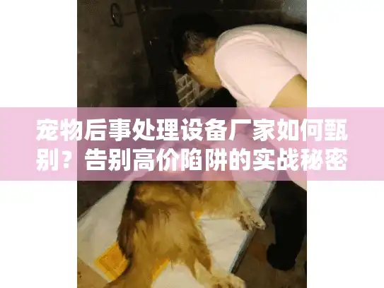 宠物后事处理设备厂家如何甄别？告别高价陷阱的实战秘密