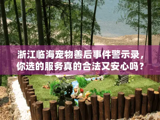 浙江临海宠物善后事件警示录，你选的服务真的合法又安心吗？
