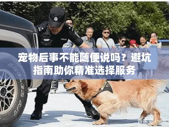 宠物后事不能随便说吗？避坑指南助你精准选择服务