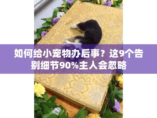 如何给小宠物办后事？这9个告别细节90%主人会忽略