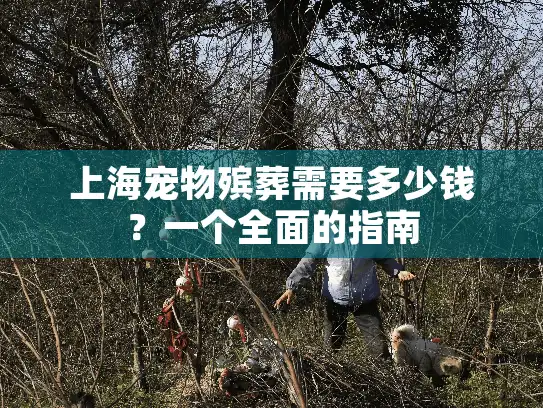 上海宠物殡葬需要多少钱？一个全面的指南