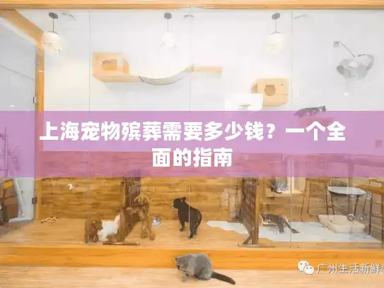 上海宠物殡葬需要多少钱？一个全面的指南