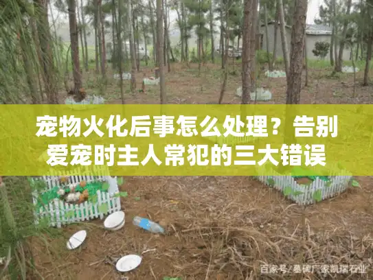 宠物火化后事怎么处理？告别爱宠时主人常犯的三大错误