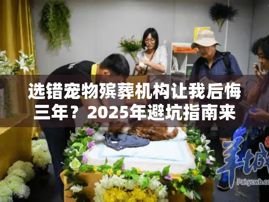选错宠物殡葬机构让我后悔三年？2025年避坑指南来了