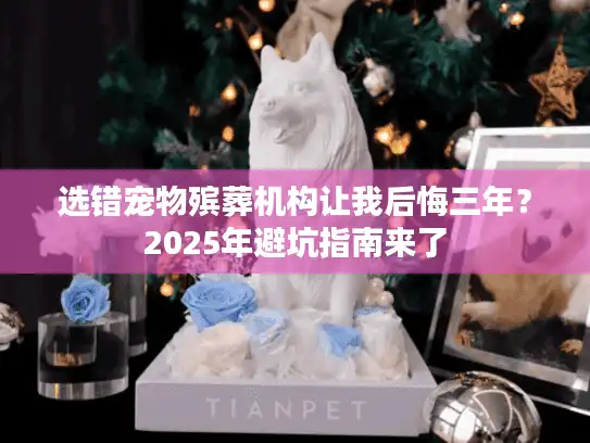 选错宠物殡葬机构让我后悔三年？2025年避坑指南来了
