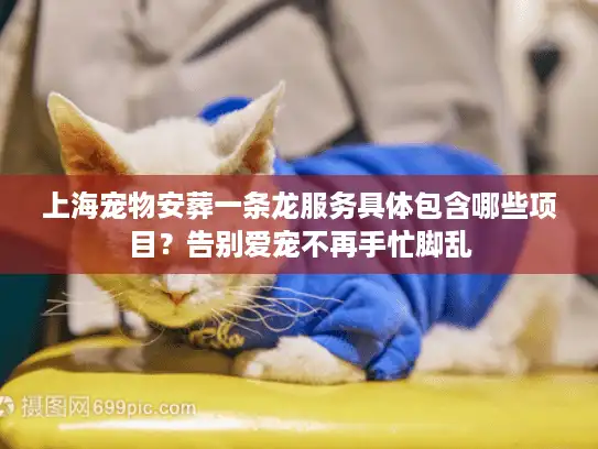 上海宠物安葬一条龙服务具体包含哪些项目？告别爱宠不再手忙脚乱
