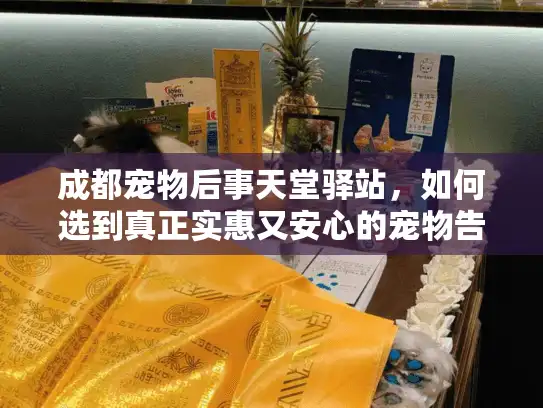成都宠物后事天堂驿站，如何选到真正实惠又安心的宠物告别服务？