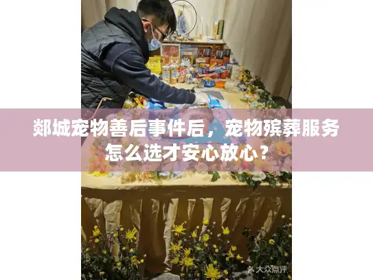 郯城宠物善后事件后，宠物殡葬服务怎么选才安心放心？