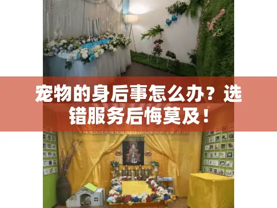 宠物的身后事怎么办？选错服务后悔莫及！