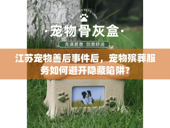 江苏宠物善后事件后，宠物殡葬服务如何避开隐藏陷阱？