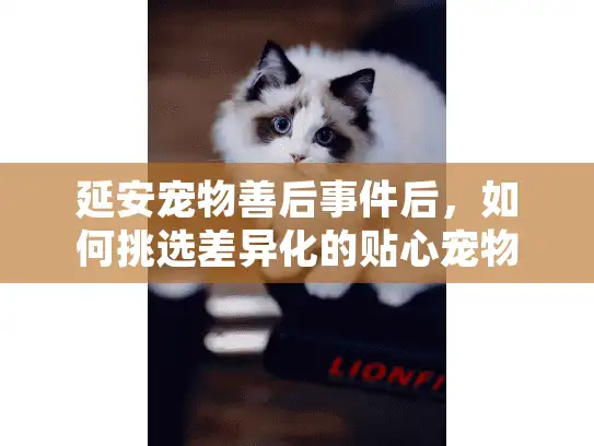 延安宠物善后事件后，如何挑选差异化的贴心宠物殡葬服务？