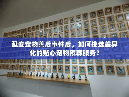 延安宠物善后事件后，如何挑选差异化的贴心宠物殡葬服务？