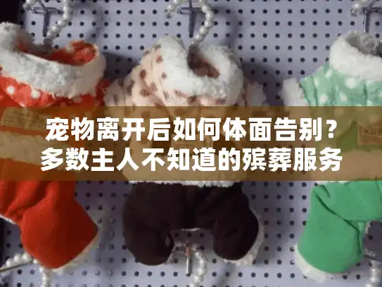 宠物离开后如何体面告别？多数主人不知道的殡葬服务真相