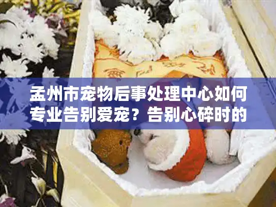 孟州市宠物后事处理中心如何专业告别爱宠？告别心碎时的安心选择