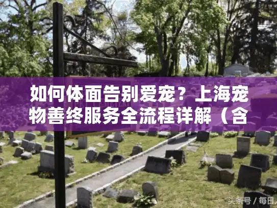 如何体面告别爱宠？上海宠物善终服务全流程详解（含送别仪式）