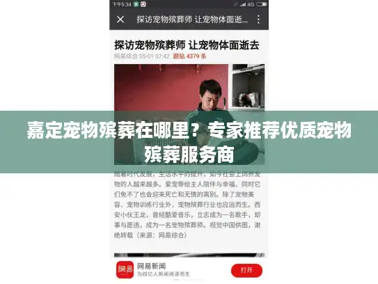 嘉定宠物殡葬在哪里？专家推荐优质宠物殡葬服务商
