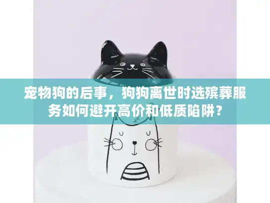 宠物狗的后事，狗狗离世时选殡葬服务如何避开高价和低质陷阱？