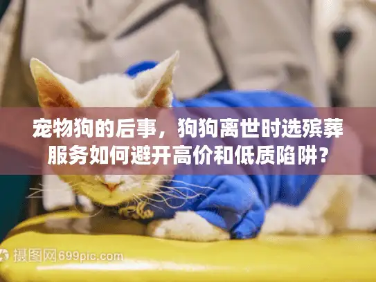 宠物狗的后事，狗狗离世时选殡葬服务如何避开高价和低质陷阱？