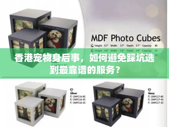 香港宠物身后事，如何避免踩坑选到最靠谱的服务？