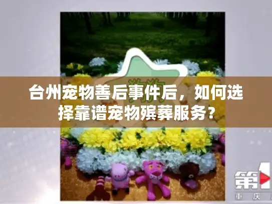 台州宠物善后事件后，如何选择靠谱宠物殡葬服务？