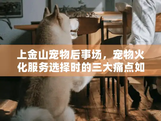 上金山宠物后事场，宠物火化服务选择时的三大痛点如何避坑？