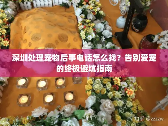 深圳处理宠物后事电话怎么找？告别爱宠的终极避坑指南