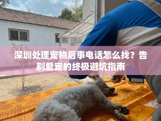 深圳处理宠物后事电话怎么找？告别爱宠的终极避坑指南
