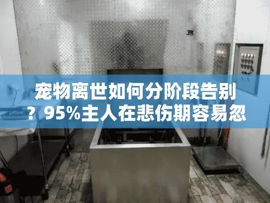宠物离世如何分阶段告别？95%主人在悲伤期容易忽略的三大关键步骤