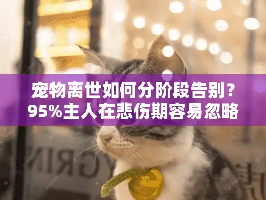 宠物离世如何分阶段告别？95%主人在悲伤期容易忽略的三大关键步骤