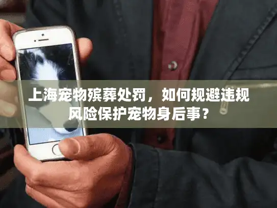 上海宠物殡葬处罚，如何规避违规风险保护宠物身后事？