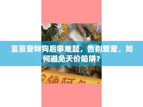 富豪宠物狗后事难题，告别爱宠，如何避免天价陷阱？