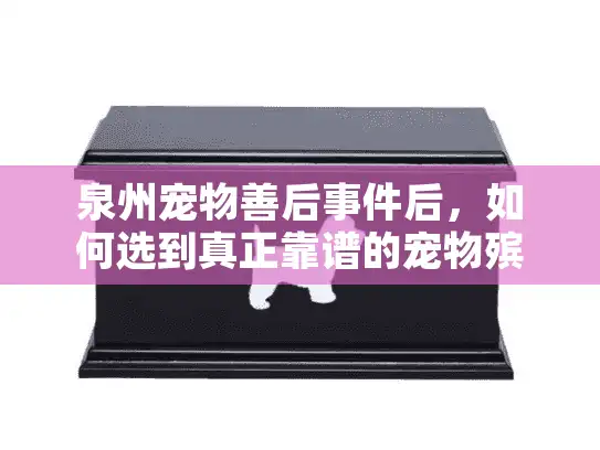 泉州宠物善后事件后，如何选到真正靠谱的宠物殡葬服务？