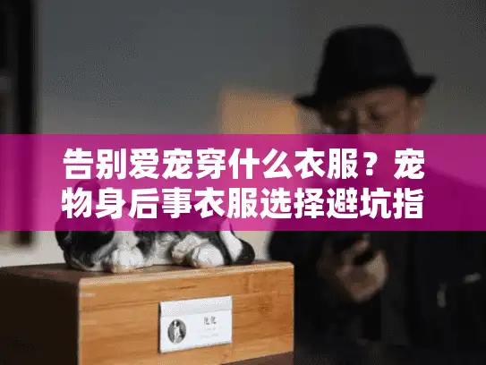 告别爱宠穿什么衣服？宠物身后事衣服选择避坑指南