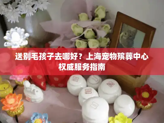 送别毛孩子去哪好？上海宠物殡葬中心权威服务指南